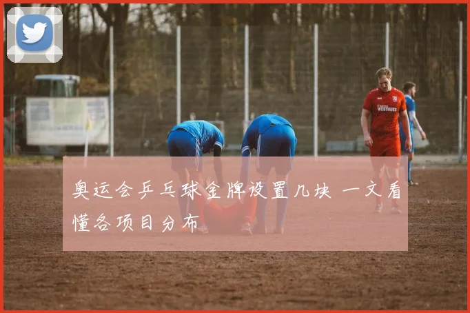 奥运会乒乓球金牌设置几块 一文看懂各项目分布