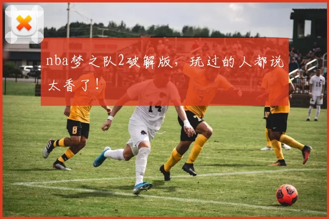 nba梦之队2破解版，玩过的人都说太香了！