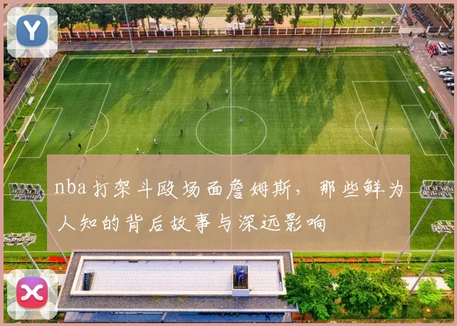 nba打架斗殴场面詹姆斯，那些鲜为人知的背后故事与深远影响