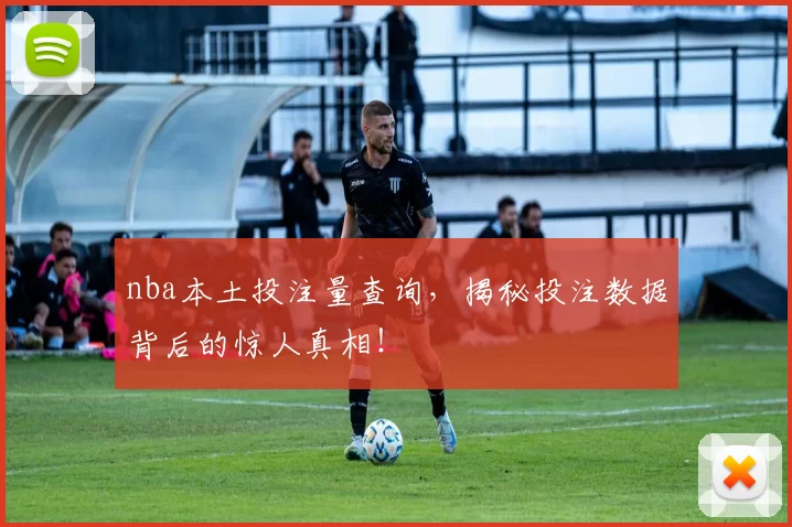nba本土投注量查询，揭秘投注数据背后的惊人真相！